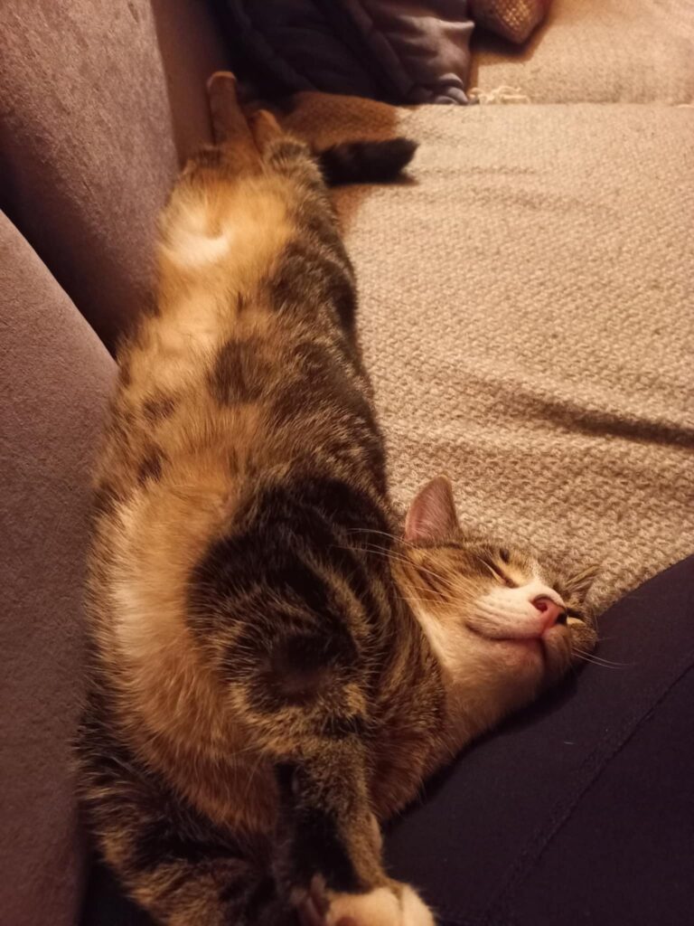 Lola